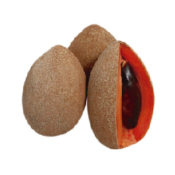Mamey
