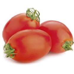 Tomate Saladette